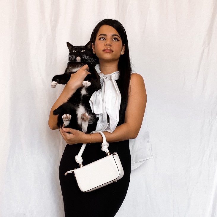 Amirahkhannn's tweet photo. A cat for every outfit https://t.co/tHsPtD7L2x