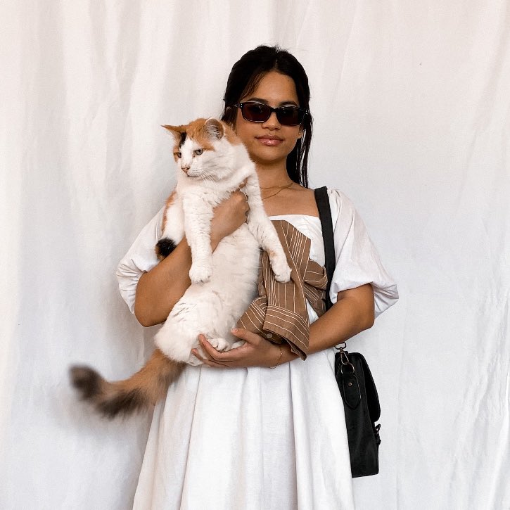 Amirahkhannn's tweet photo. A cat for every outfit https://t.co/tHsPtD7L2x