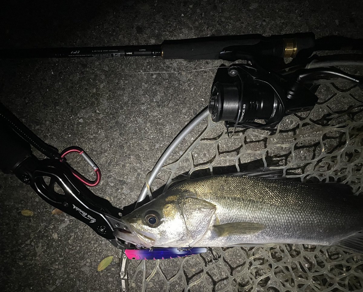 BRITZEN's tweet photo. いろいろ入魂❗️
#SeaBons
#フィッシュグリップ
#エリア10
#キャスティング錦糸町店オリカラ
#エクスセンスBB
#ラテオBS
#S63MS
やっぱ、キャスティング錦糸町オリカラ釣れますね😊 https://t.co/F8BOvDYdzZ