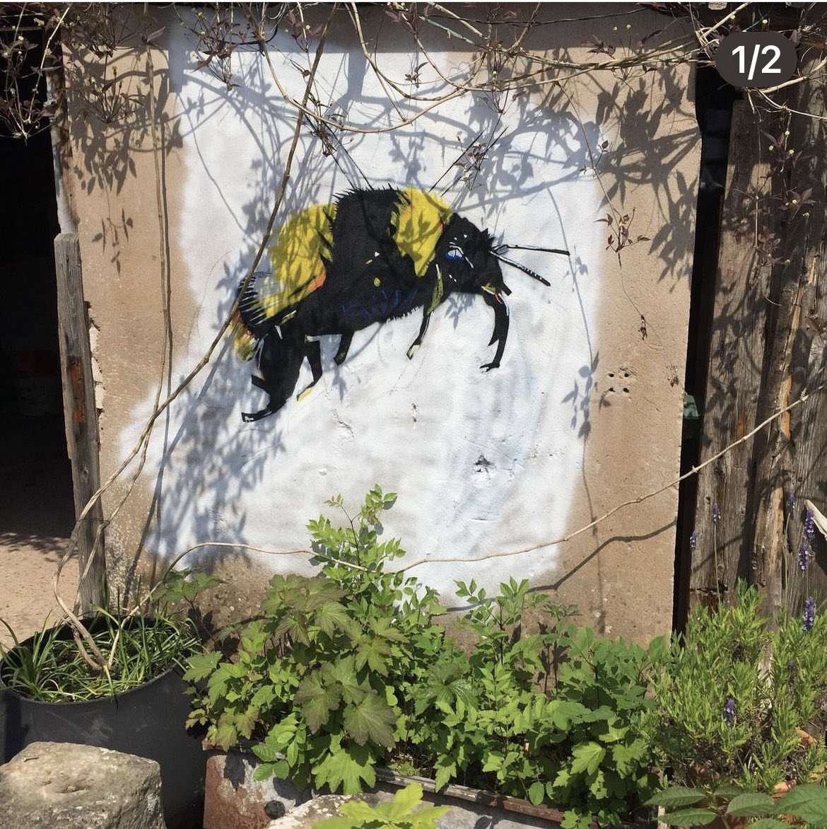 blckflygraphics's tweet photo. Hello! I’m a mural artist based in the local area of London. I make murals for £250 per mural which includes cost of materials. If you are interested and would like a mural then please do not hesitate to get in touch! See @blckflygraphics on instagram and give me a shout! https://t.co/c6hlg8Vk9D