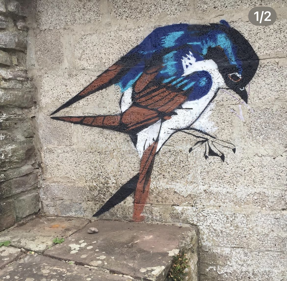 blckflygraphics's tweet photo. Hello! I’m a mural artist based in the local area of London. I make murals for £250 per mural which includes cost of materials. If you are interested and would like a mural then please do not hesitate to get in touch! See @blckflygraphics on instagram and give me a shout! https://t.co/c6hlg8Vk9D