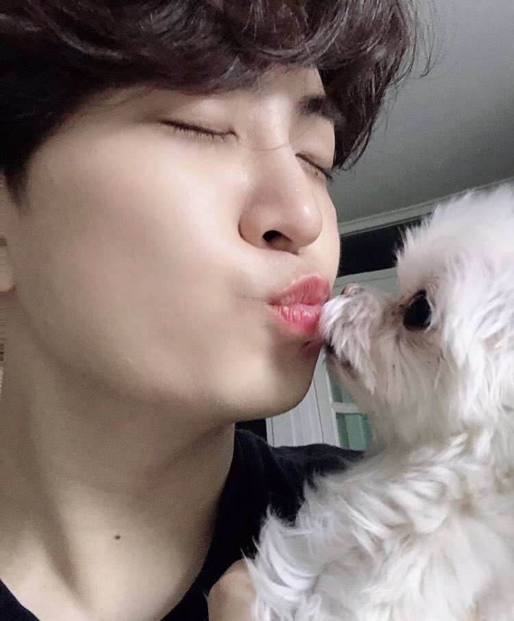 _arsjoy's tweet photo. youngjae needs to go to work pero dahil di niya magawang iwan nang mag-isa si coco sa apartment niya, pinaalam niya sa kapitbahay niya if pwede bang siya nalang muna magbantay.
β #youngjoy #gotvelvet au https://t.co/BgpGdCooDu