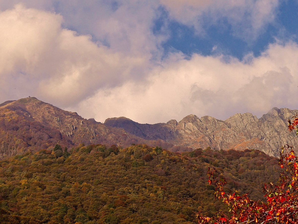 anisja_rossi's tweet photo. Good day and happy Wednesday ....
Autumn 
Today in Brissago/Switzerland
photo by Anisja Rossi https://t.co/3LUcM8vK0Q