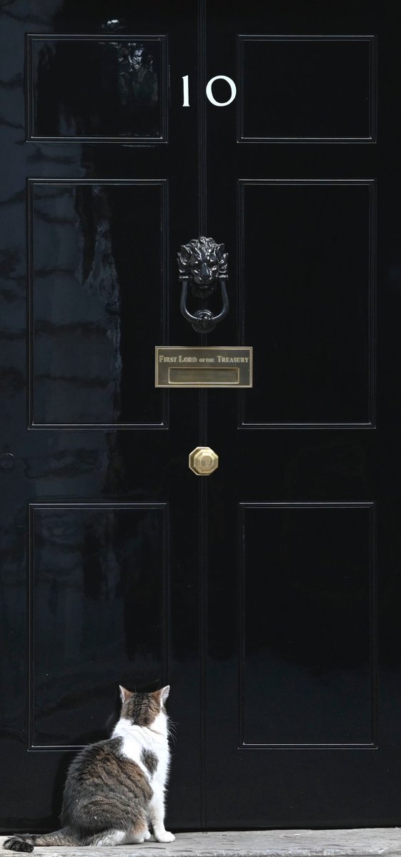 Maria J. Verdugo 🌳 tweet media