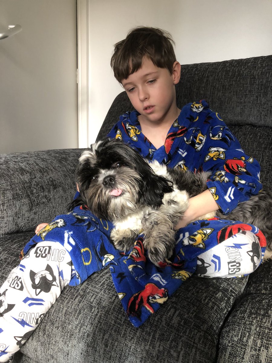 BuddyGoodies's tweet photo. Cuddle time after his nice long walk with his Aunty Jill πππΎ
#autumnwalk #dogsoftwitter #dogwalk #cuddletime #brotherlove #SHIHTZU #dogdays #happydog #verymuddy https://t.co/PtV0BHEAJc