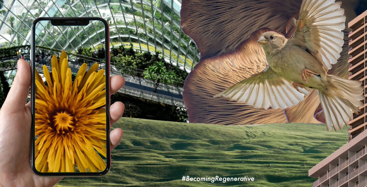 Tuukka Toivonen, PhD (Oxon.) tweet media