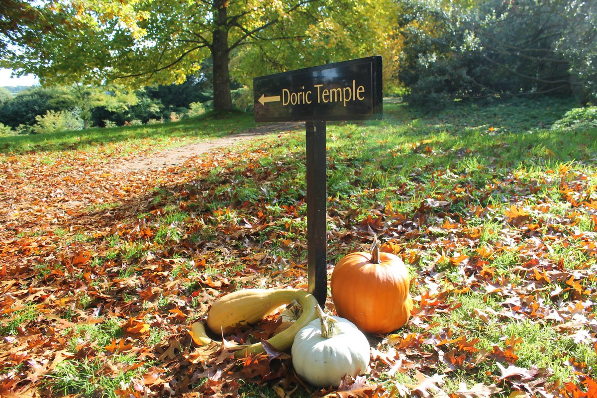 Spot the pumpkins at Petworth House Pleasure Gardens this week. We've hidden some that were grown at Woolbeding Gardens. Count how many you can see, and enjoy the autumn colours and crunchy leaves. #NationalPumpkinDay🎃@southeastNT #Petworth #Sussex #HalfTerm