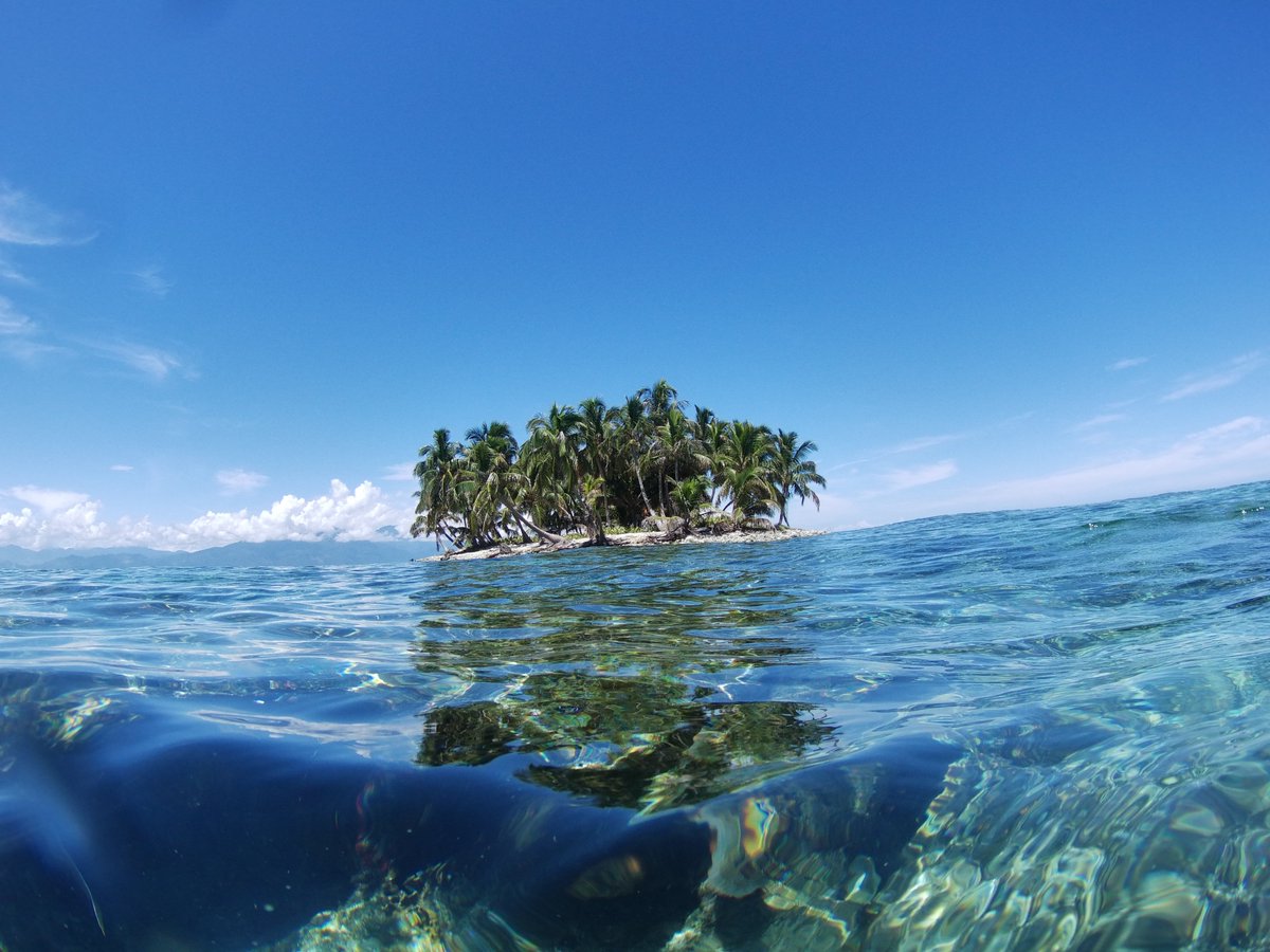 Emi Husband tweet media