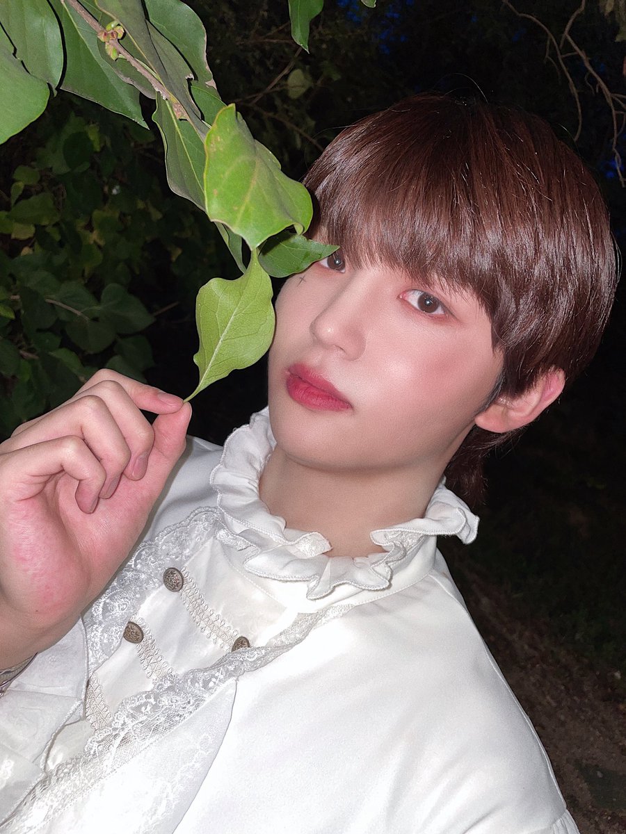 RoaD-B(로드비) on Twitter: “[#백한] 나뭇잎과 저 잘 어울리나요?🍃 #RoaDB #로드비 #RoWaY #백한