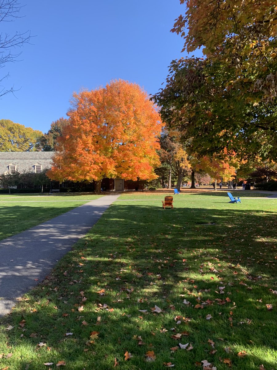 Val LaMore tweet media