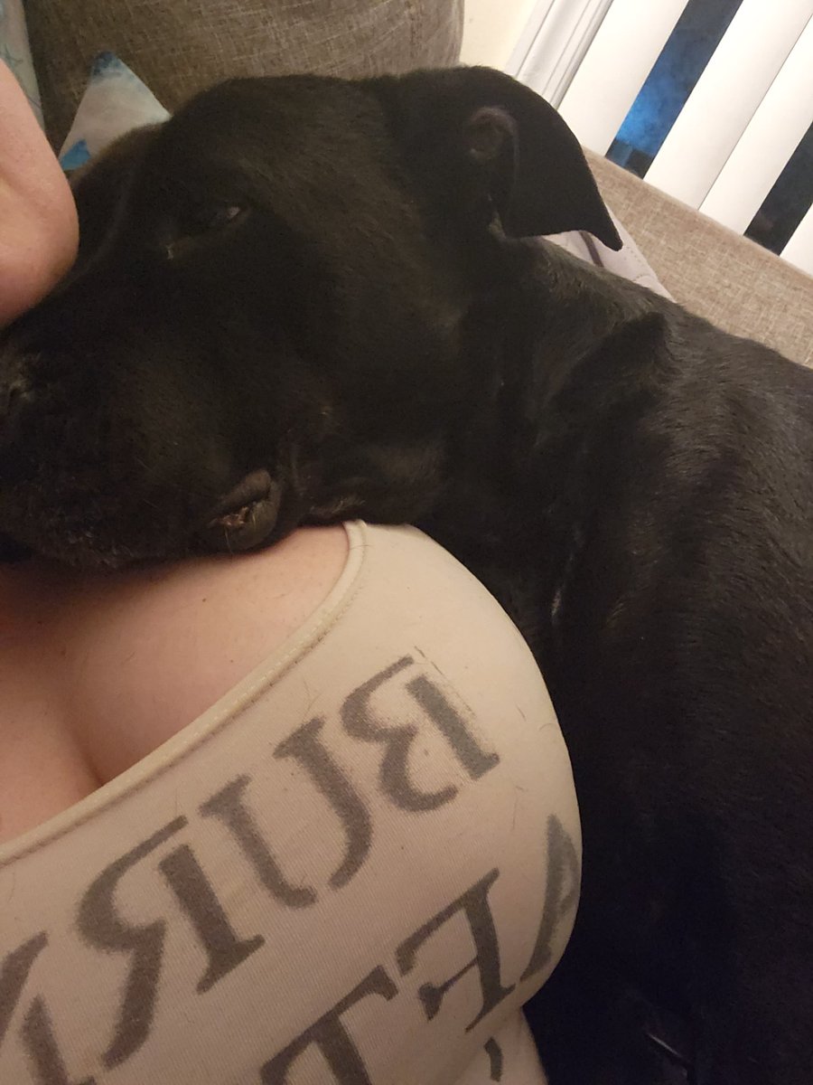 Okayyy but gimme someone who looks at me like she does, damn 😭

((Ignore the no bra boobas))