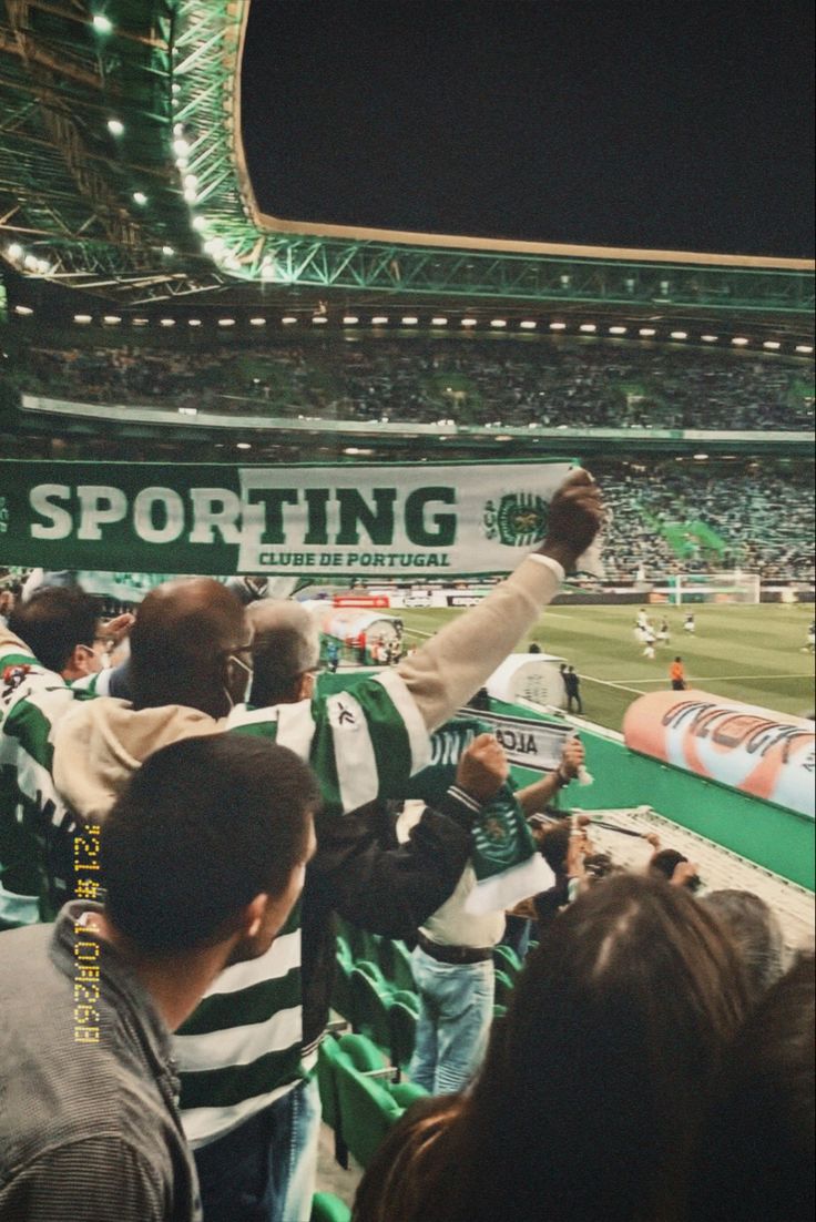 "Amor à camisola, amor ao cachecol, amor ao 𝙎𝙥𝙤𝙧𝙩𝙞𝙣𝙜" 💚⚪