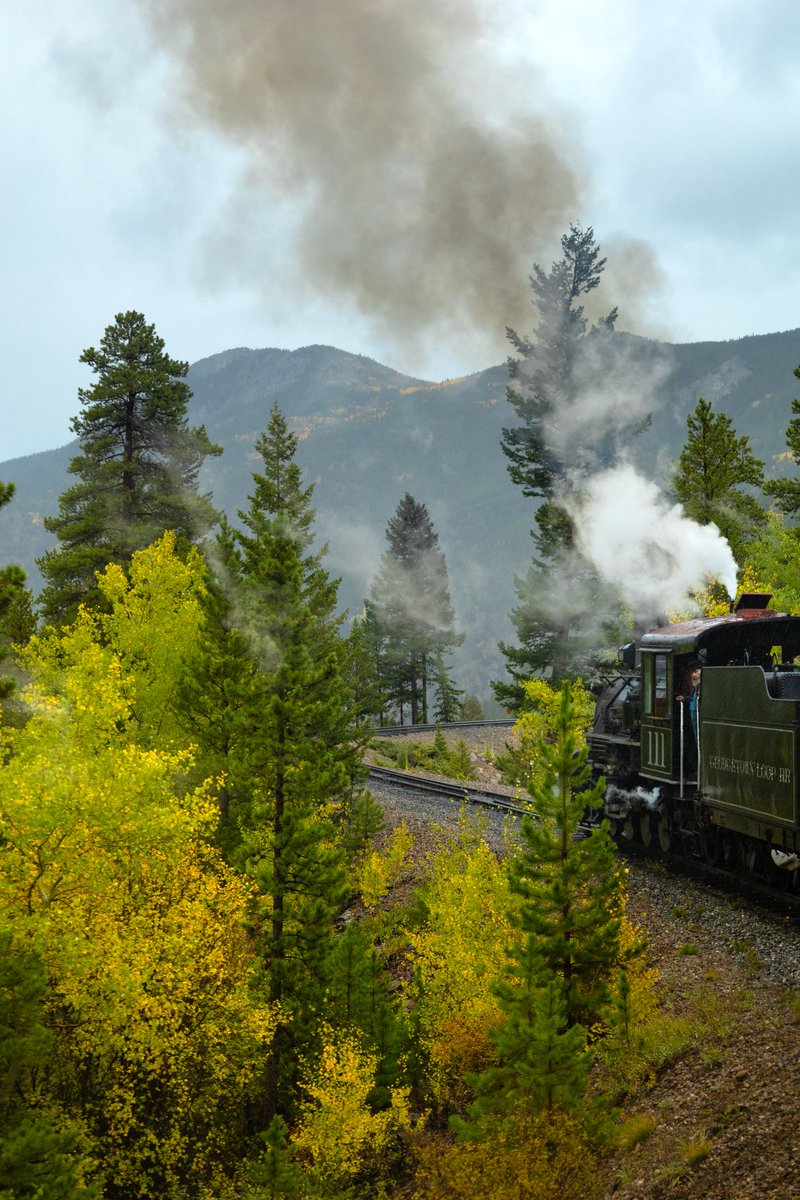 shutter_prince's tweet image. Gm #photography fam 🧙🏿‍♂️💚📸

I can feel him looking at me...