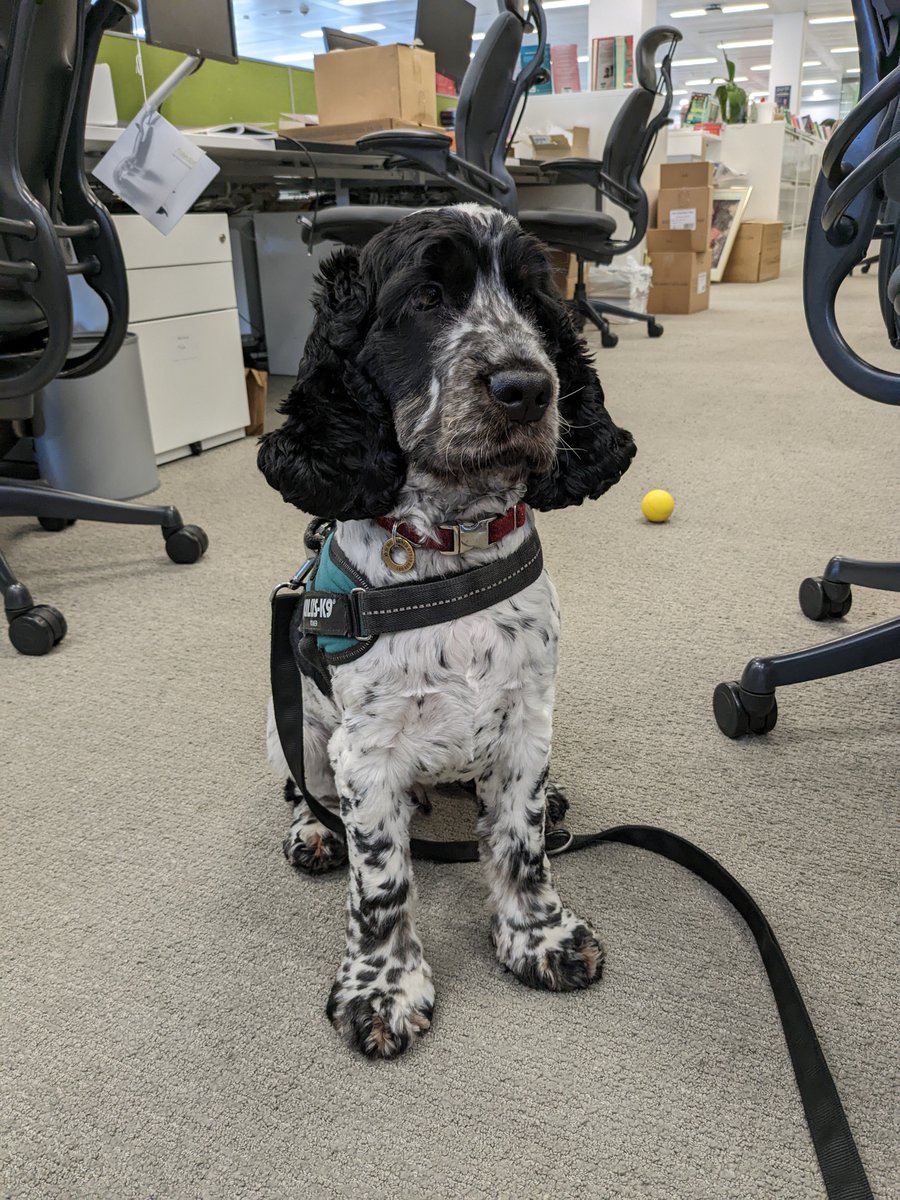 Tilda Key tweet media