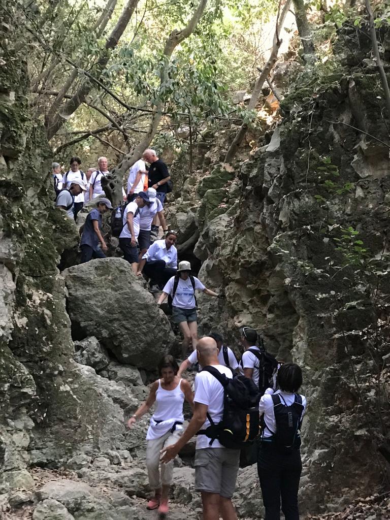 Le Walk Israël a démarré cette semaine. Nos marcheurs qui rappelons-le font la randonnée au profit des enfants défavorisés d'Israël, sont partis du Mont Carmel qu'ils ont escaladé. Ils arriveront en fin de semaine à Jérusalem, bouclant le sentier qu'ils ont entrepris en 2017 !
