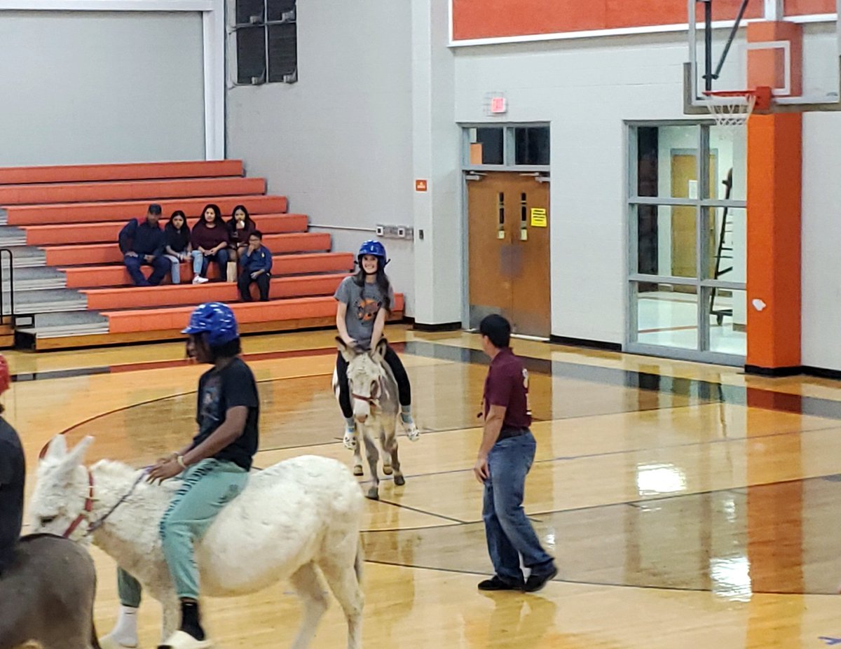 AmyParten32's tweet photo. Donkey Basketball π did NOT disappoint! Best fundraiser EVA! Emma rode her donkey like a PRO! Jeffrey got a stubborn one π€£π€£π€£ He had it in compliance by the end! ALL the fun was had! #promfundraiser #donkeybball https://t.co/tth9slB4j9