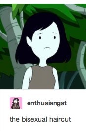 for bisexuals on Twitter: