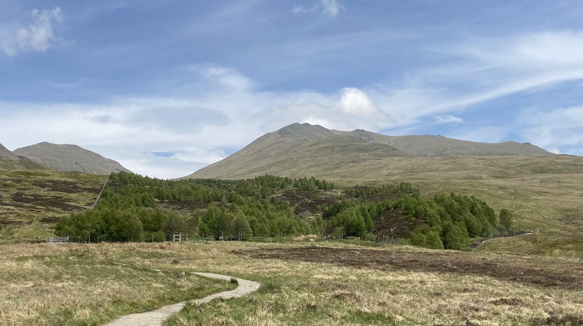 📢 Opportunity for a PhD studentship at the University of Stirling @StirBES Soil carbon and biodiversity response to Scottish Highland rewilding iapetus2.ac.uk/studentships/s…