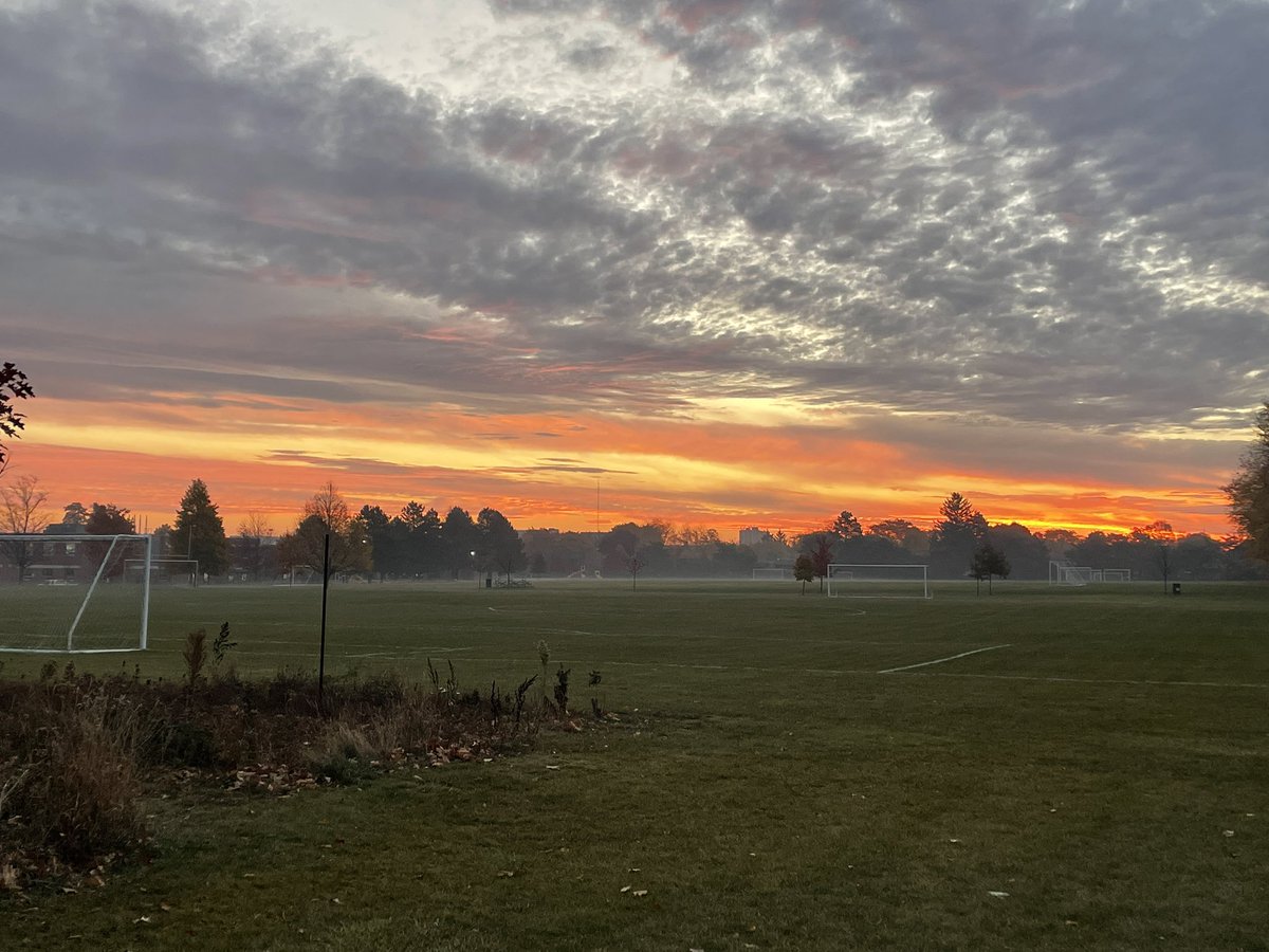 Lιѕα Mιтcнell (she/her/hers) tweet media