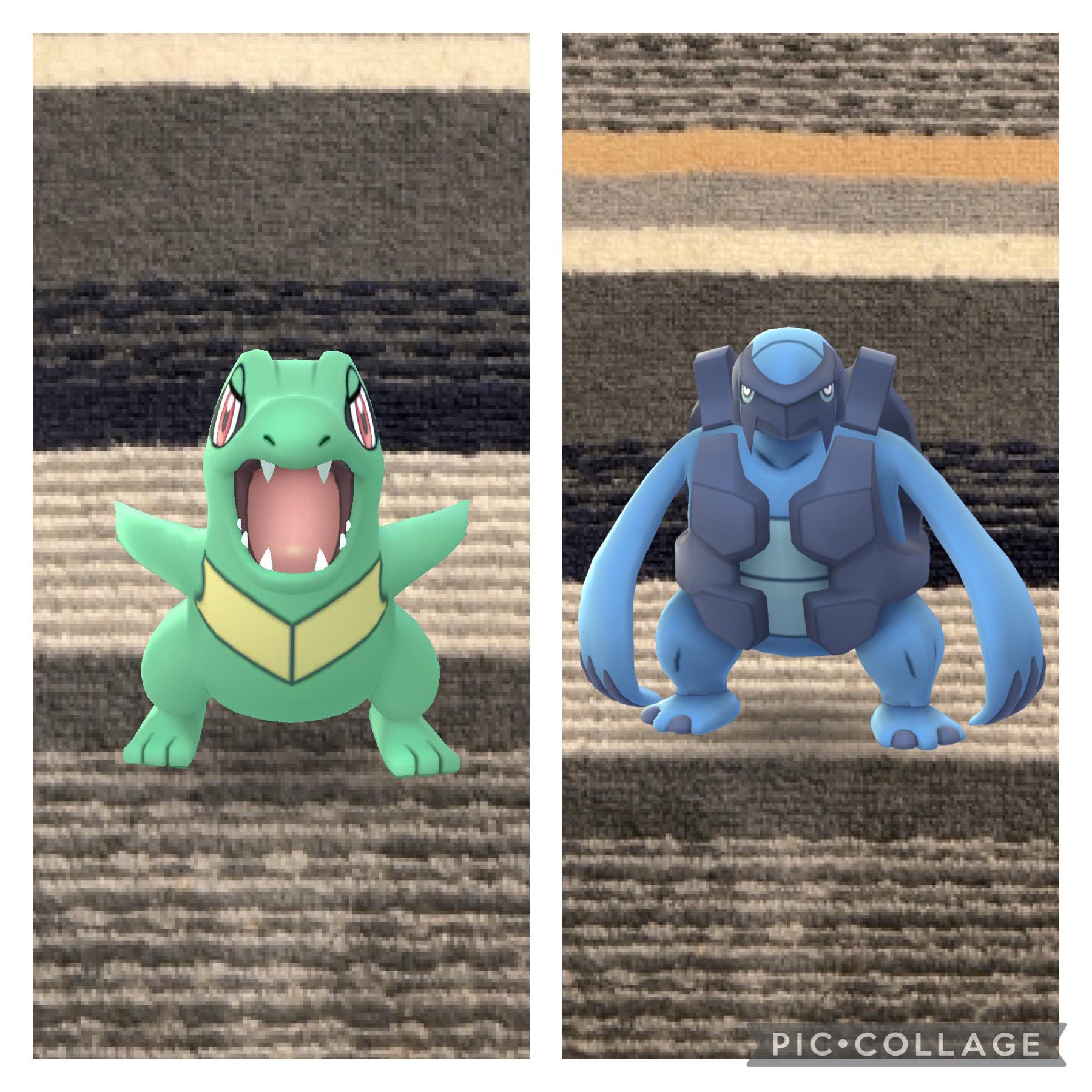 تويتر くまくま Aizuotome