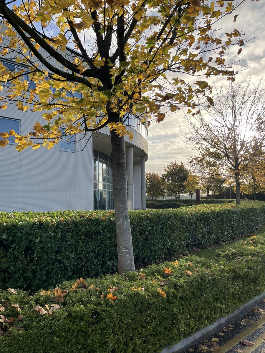 Enjoyed sharing the journey thus far of #CLÂN (circular lifestyle awareness network) - Marketing Circular Fashion Adoption to  #SETU BA Hons. Marketing &amp; Digital Media yr 3 class 🙌🏼 Lecturer <a href="/AnthonyP_Foley/">Anthony Foley</a> <a href="/SETUIreland/">South East Technological University</a> <a href="/RediscoveryCtr/">Rediscovery Centre</a> <a href="/waterfordcc/">Waterford Chamber</a>