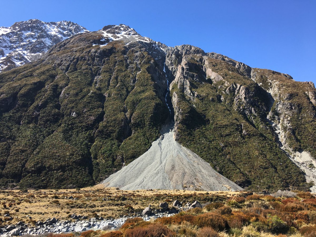 Emi Husband tweet media