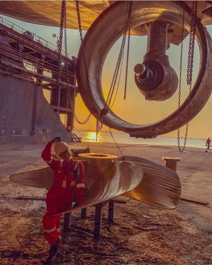 FocusMind8's tweet image. 