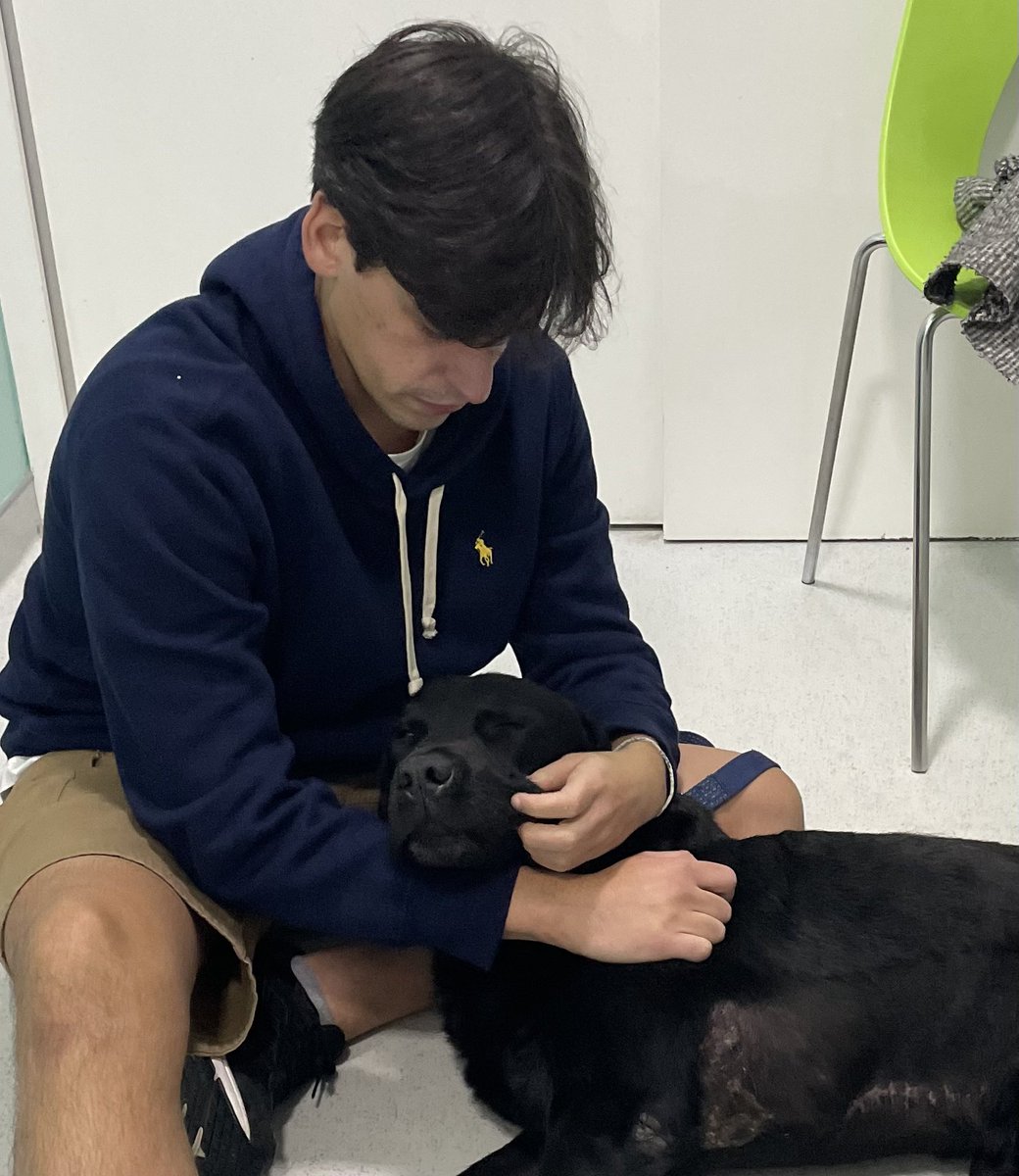 123Gasp's tweet photo. Esta madrugada, decidiu que estava na altura de dizer adeus. Mas o tumor não ganhou. 

Disse adeus à minha infância e ao meu melhor amigo.

Antes de ele partir, disse-lhe que ia ter com os outros. Levantou-se com dificuldade e pareceu sorrir. Agora está com eles. 

Adeus. Até já. https://t.co/A3IHXSejcf