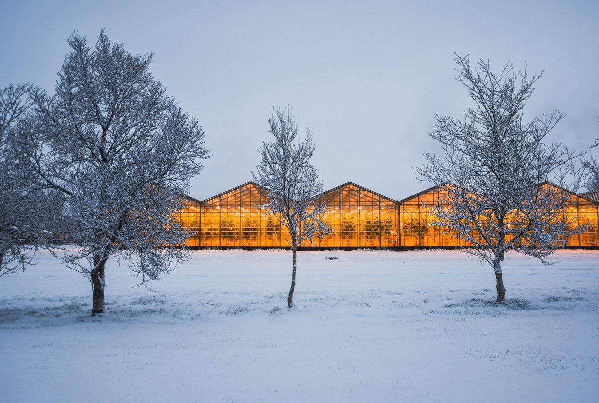 At horticulture’s epicentre come pick the brains of our experts. During the knowledge packed two-week online programme Winter School Greenhouse Horticulture they will share everything with you! Register now👉 bit.ly/3z9AOOO <a href="/WURplant/">WUR Plant</a>