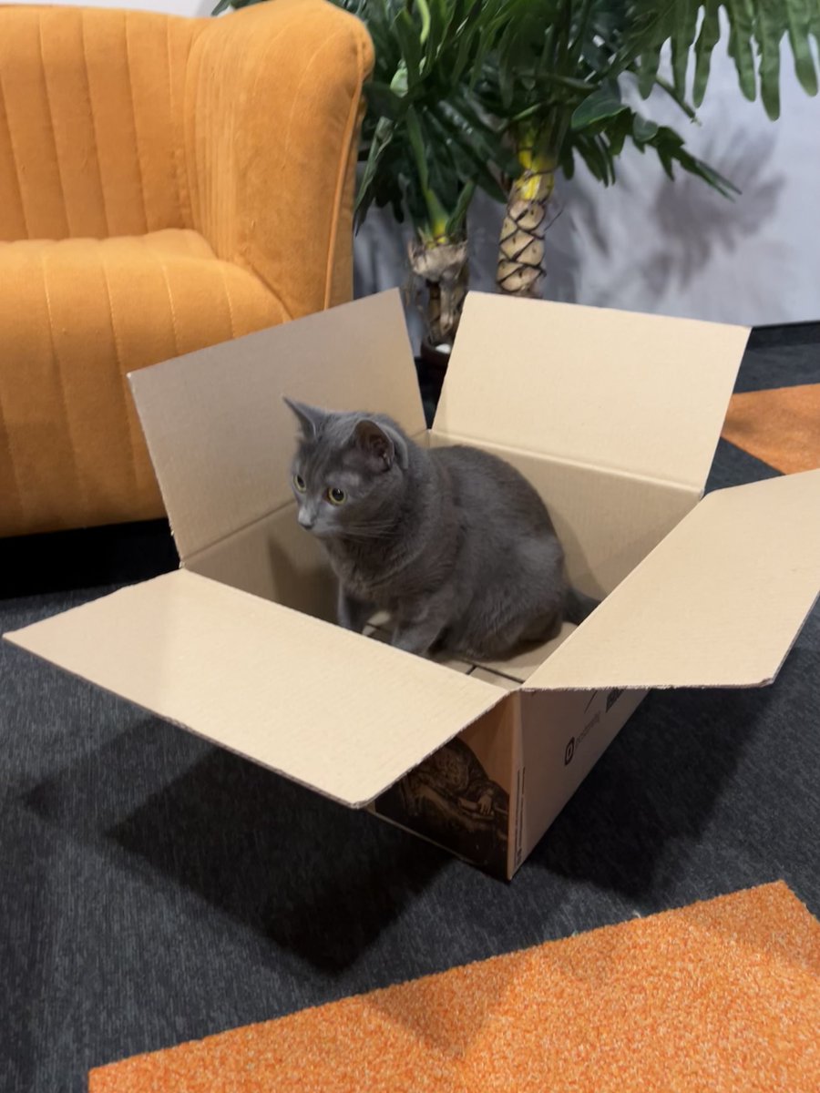 Ozone.bg tweet media