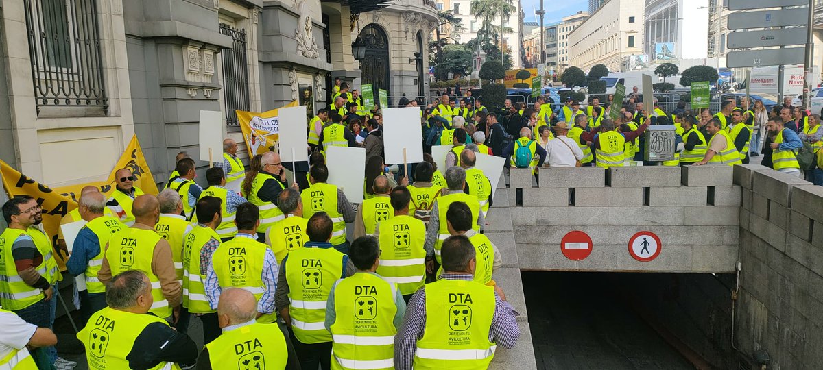 MartosInma's tweet image. 🚨Nuestros avicultores 🦃🐔se han desplazado hasta Madrid, ya que tras afrontar adversidades cómo gripe aviar y guerra🇺🇦, ahora se enfrenta a una serie de irregularidades ➡️#IncumplimientodelaLeydeCadenaAlimentaria 
@esdecirdiario @mapagob