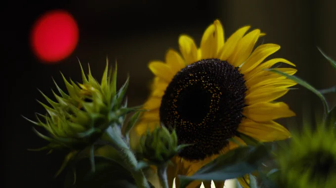 NIKKOR 58(87)/1.4G 