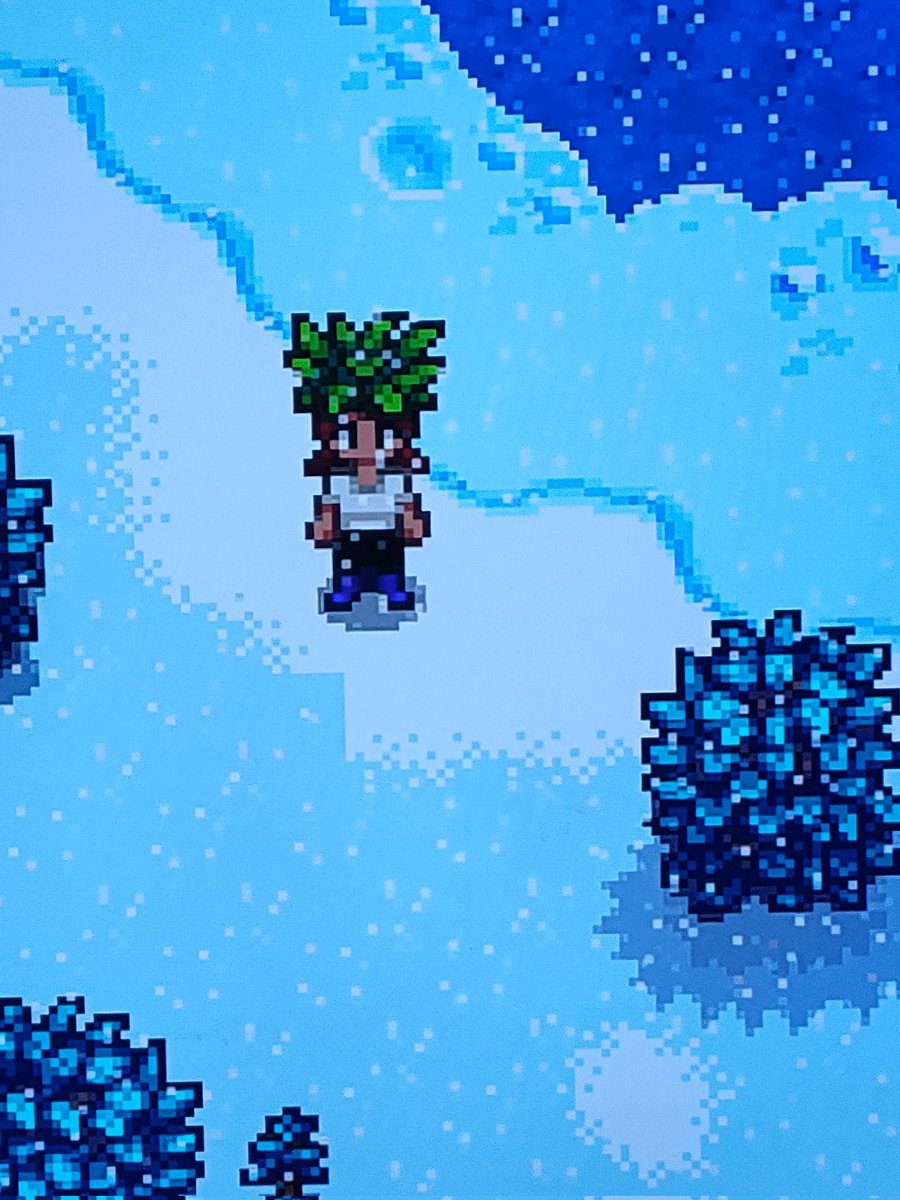 Dwergje__'s tweet photo. It took me 500+ hours on PC, and 300+ hours on the Switch, but i FINALLY got the Living Hat... 😂 (Got it in the mines, but thought of randomly tweeting it today). @ConcernedApe https://t.co/FDWKUVuVwu