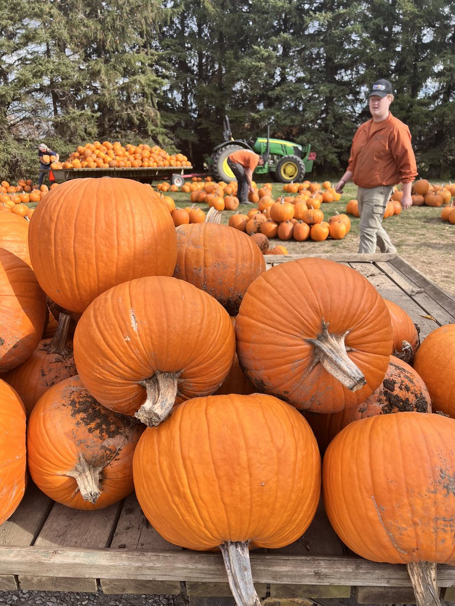 Strom's Farm &Bakery tweet media