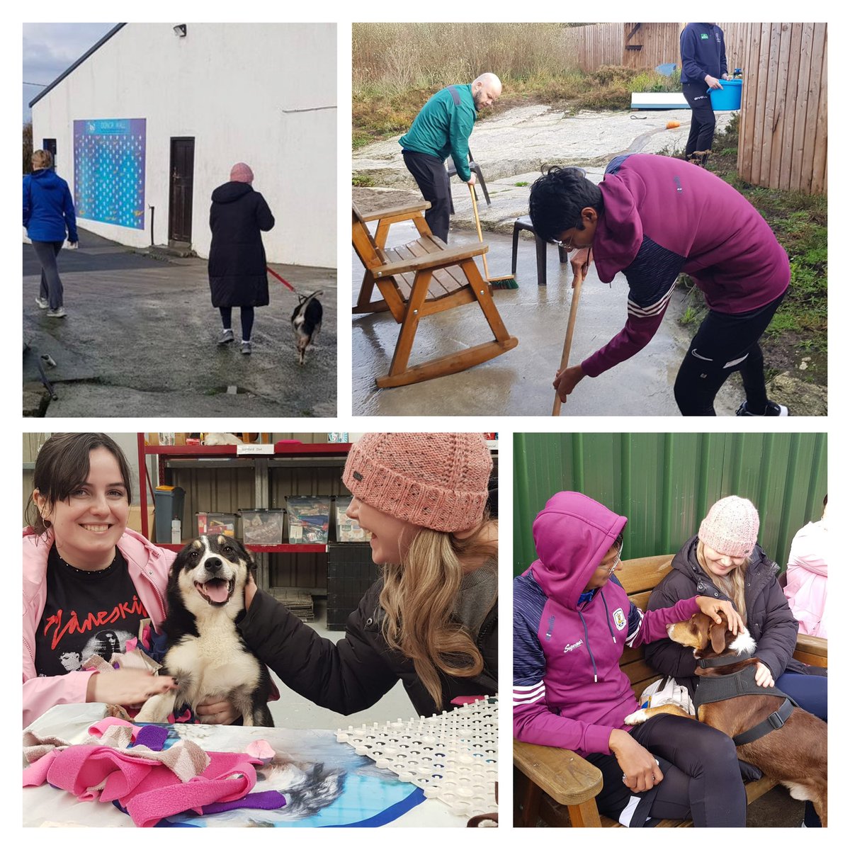 We were delighted to welcome a fab team from #Wayfair #Galway on Tuesday They spent the day walking dogs, cleaning and creating treat filled snuffle mats for our dogs’ enjoyment We’re so grateful for Corporate #volunteers 🐕🐾👏 #MADRA #givingback #CSR