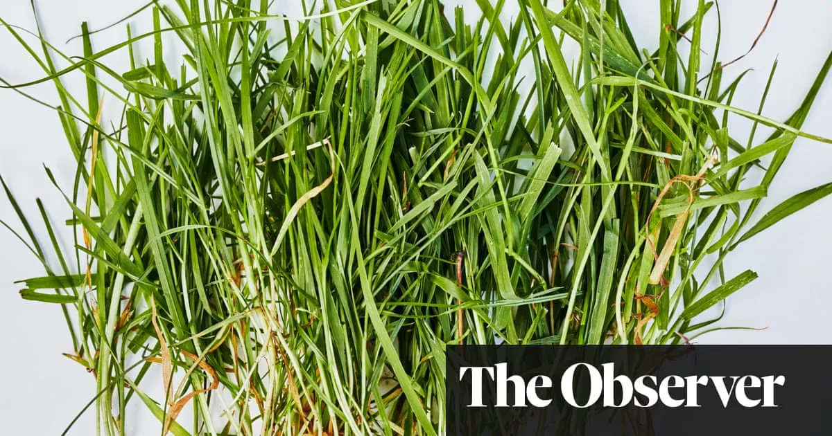 This summer saw vast tracts of parks and lawns scorched by drought in the UK, but more watering is not a sustainable solution. So what does the future hold for grass? buff.ly/3frbxsu