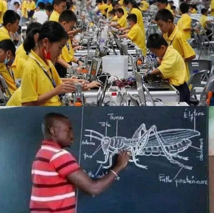 paa_quophi_boat's tweet image. 💁