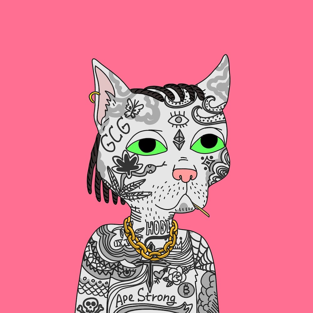 Heard some rumblings about a delay...but we Gang out here and will continue the rotation.  Today is my 3rd grey tatt.  Clean, hard and down for a scuffle 24/7. <a href="/GutterCatGang/">Gutter Cat Gang</a>