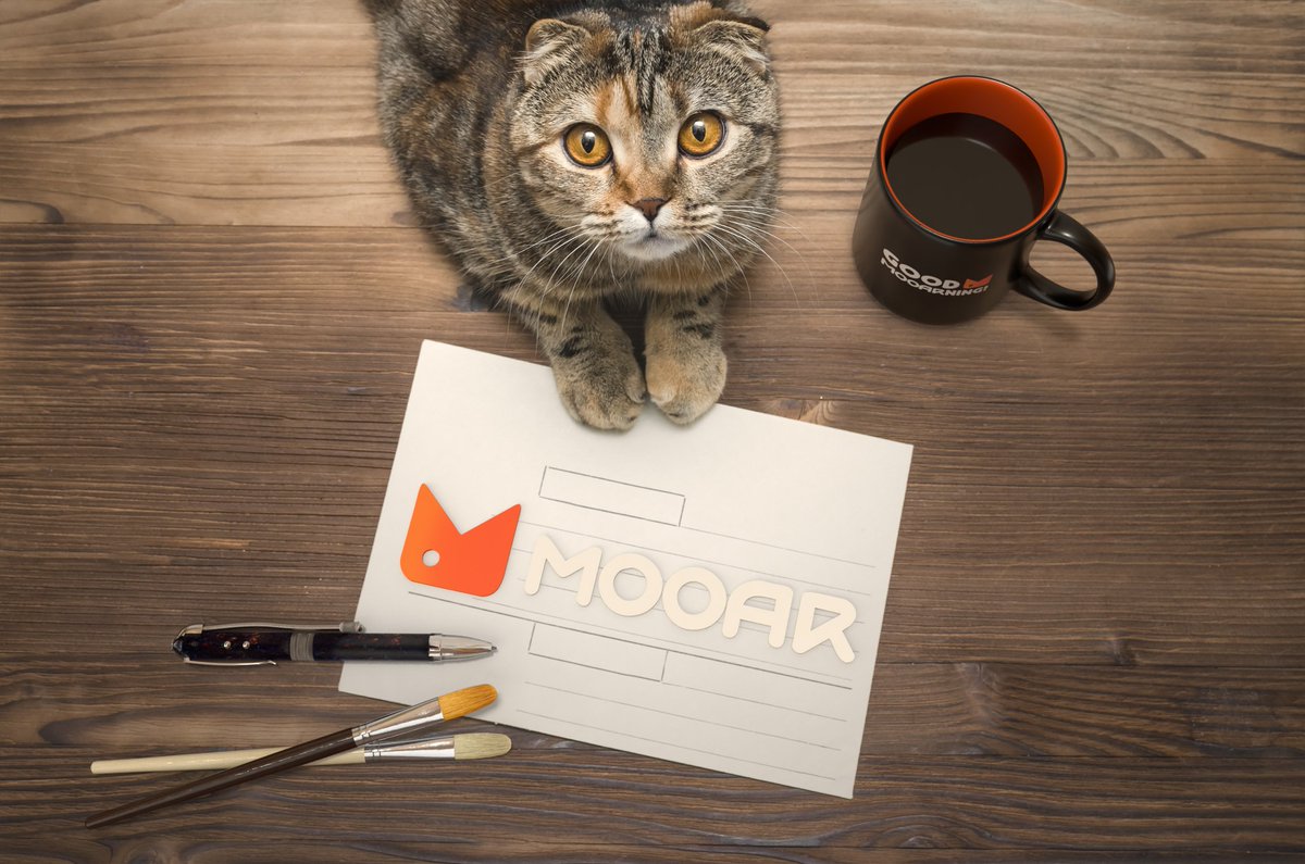 MOOAR tweet media