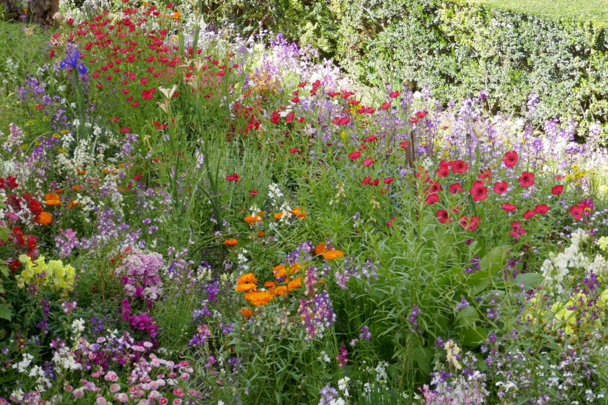 Generalife behoort tot het Alhambra complex en de tuinen werden rondom het zomerpaleis van de sultans aangelegd. Deze worden gerekend tot de oudste van Europa en werden al in de veertiende eeuw gerealiseerd.
gardentours.nl/tuinen/general…