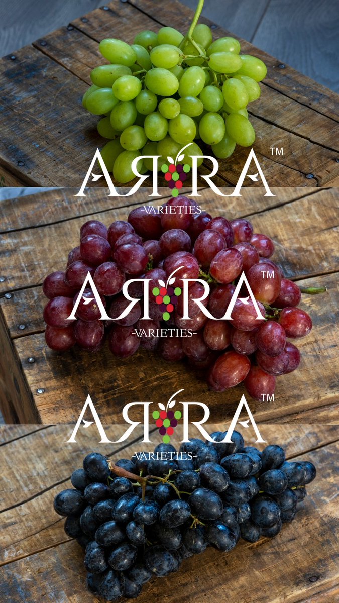 Grapa Varieties tweet media