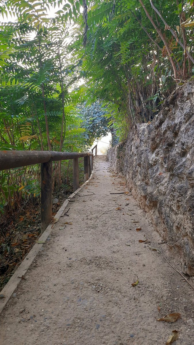 RCamachoLp's tweet photo. Pasear por el #CorredorVerde Bajo Adarve de #PriegoDeCórdoba es trasladarte en el tiempo y disfrutar de rincones únicos llenos de #Paz.
@turismodepriego 
@iambiente 
@Subbetica 
@dipucordoba https://t.co/x9wZmCQXai