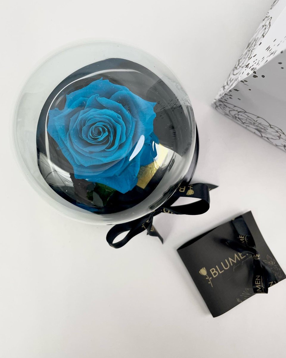 blumenecuador's tweet photo. Un detalle que no se olvida ❤️ y que siempre encanta 😍 , en las ocasiones más especiales regala BLUMEN 🌹 . 
.
#TheLonelyPrincess ✨ .
.
🌹 Calidad de exportación .
🌹 Enviamos a todo el 🇪🇨 . 
🌹 El mejor regalo 🌹 .
.
#Ecuador #flores #floreseternas #rosaspreservadas #regalos https://t.co/PD6dLnSU4b