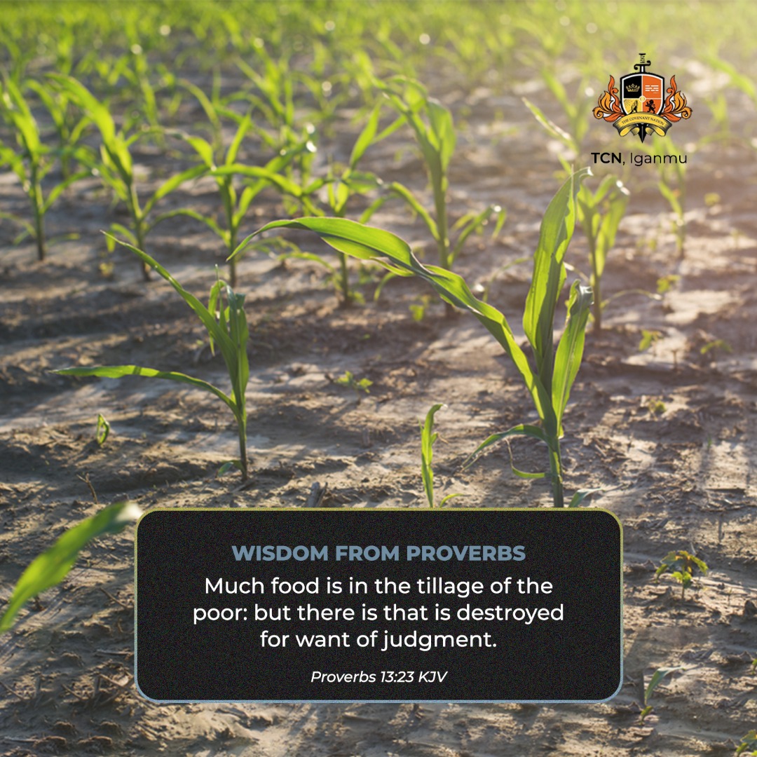 TCNIganmu's tweet image. More wisdom from the book of Proverbs.

God bless you.

#TheCovenantNation
#TCNIganmu
#WisdomFromProverbs