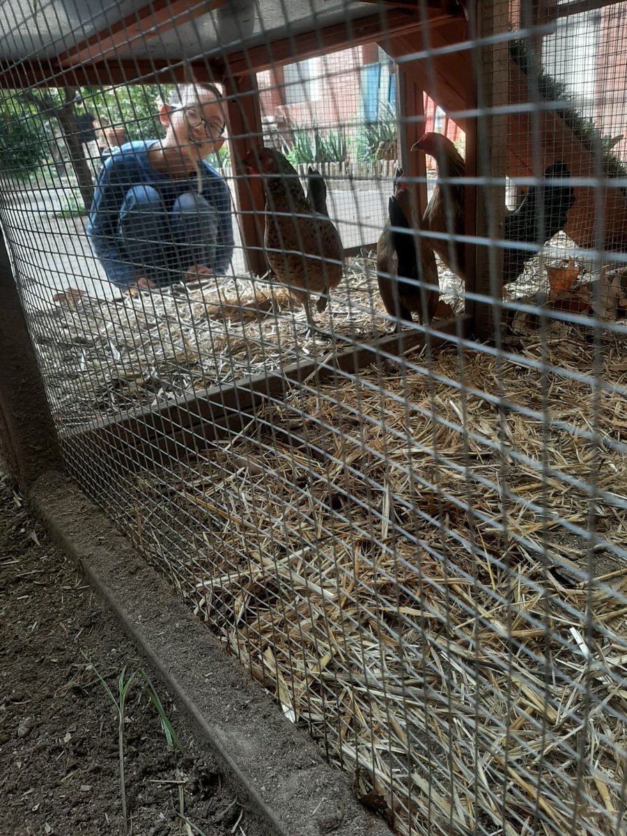 FEP NS Montserrat EE tweet media