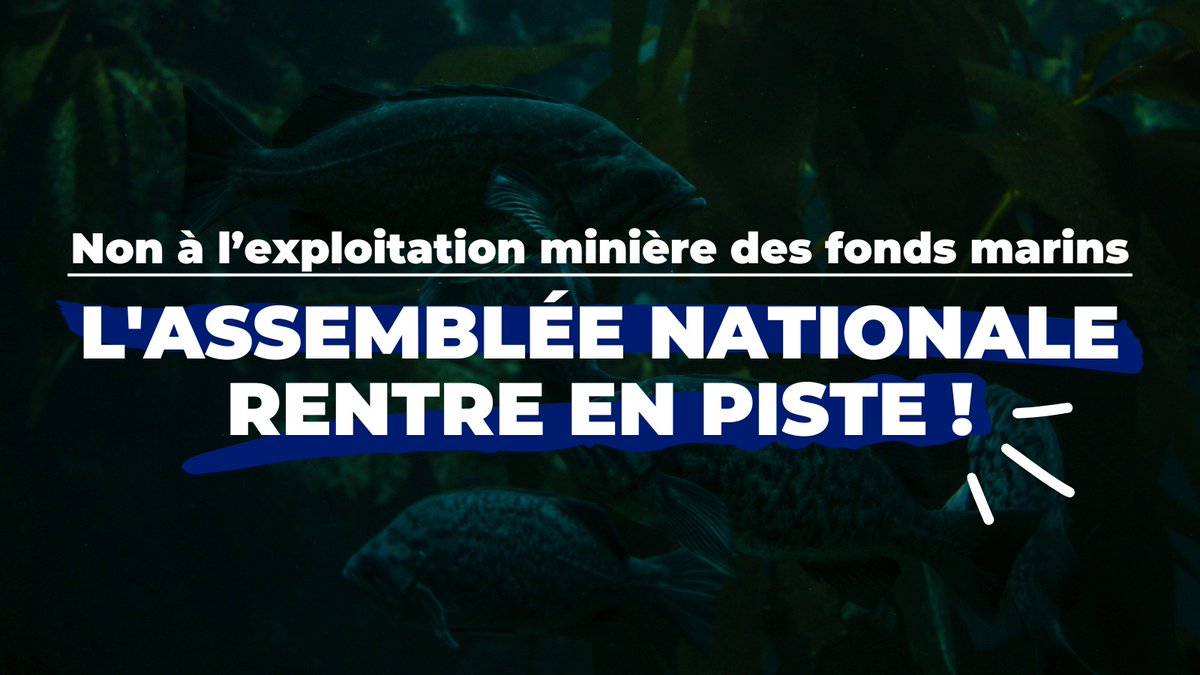 BREAKING NEWS 🤯
<a href="/nthierry/">Nicolas THIERRY</a> a annoncé hier le dépôt d'un résolution à l'Assemblée Nationale appelant à un #moratoire sur l’exploitation minière des #fondsmarins.

Celle-ci sera votée dans les prochains mois mais a déjà été co-signée par des députés de 8 groupes politiques.