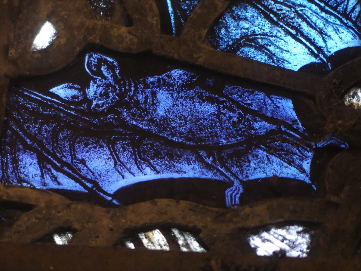 Let's enjoy some more #ChurchBats this #BatWeek #NationalMammalWeek.
The stunning ancient church of St George's in West Grinstead, West Sussex isn't just home to Natterer's, pipistrelle and brown long-eared bats. It also has a rather fine selection of stained glass bats!