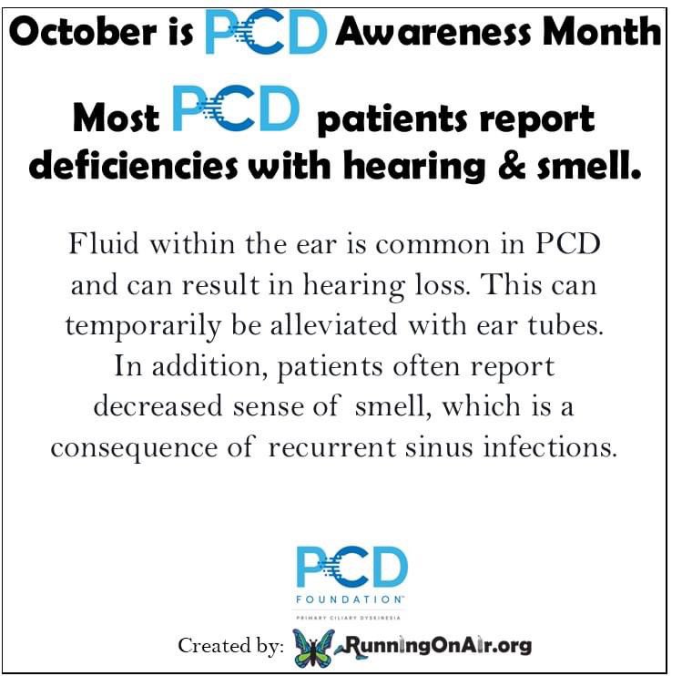 RunningOnO2's tweet photo. October is #PCDawareness month & this year we are celebrating the PCD Foundation's 20th year of #cleartheway4pcd . Visit https://t.co/X9feuFlBE0 for ideas. We can't wait to see how you all help 'Clear the Way' for PCD this month!
#cure4pcd #pcdawarenessmonth2022 #pcdfoundation https://t.co/1JOkGEJUSW