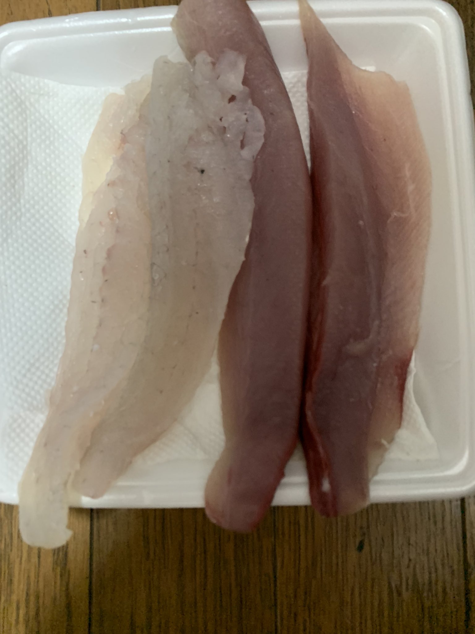 ハマチ釣り Twitter Search Twitter