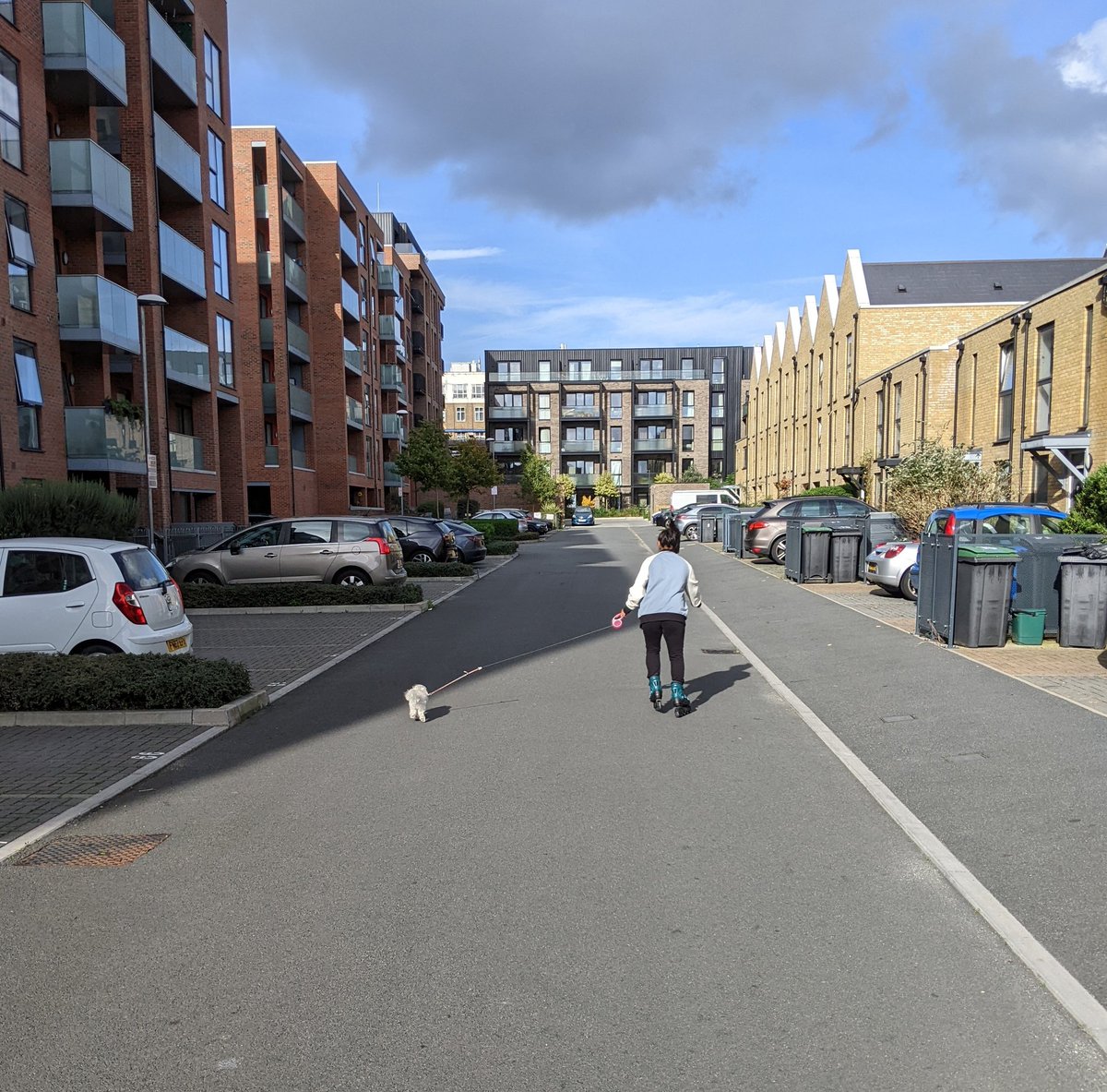 MaltipooYuca's tweet photo. Henlo! Just me and hoomum rollin' through your Twitter feed this lunchtime. 🐕😍🛼 https://t.co/5uElCc28gu